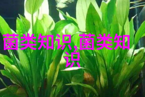 硬柄型平菇与软柄型平菇管理有差异