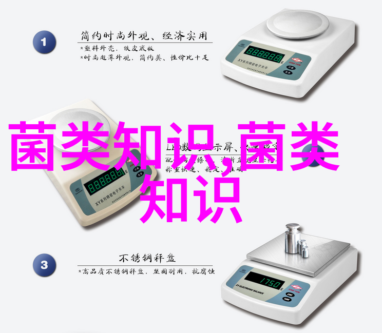 秋季平菇生产技术要点