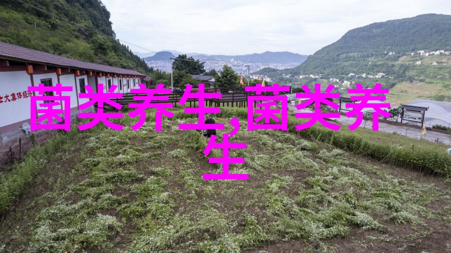 菌菇怎么吃才能真正收获好处